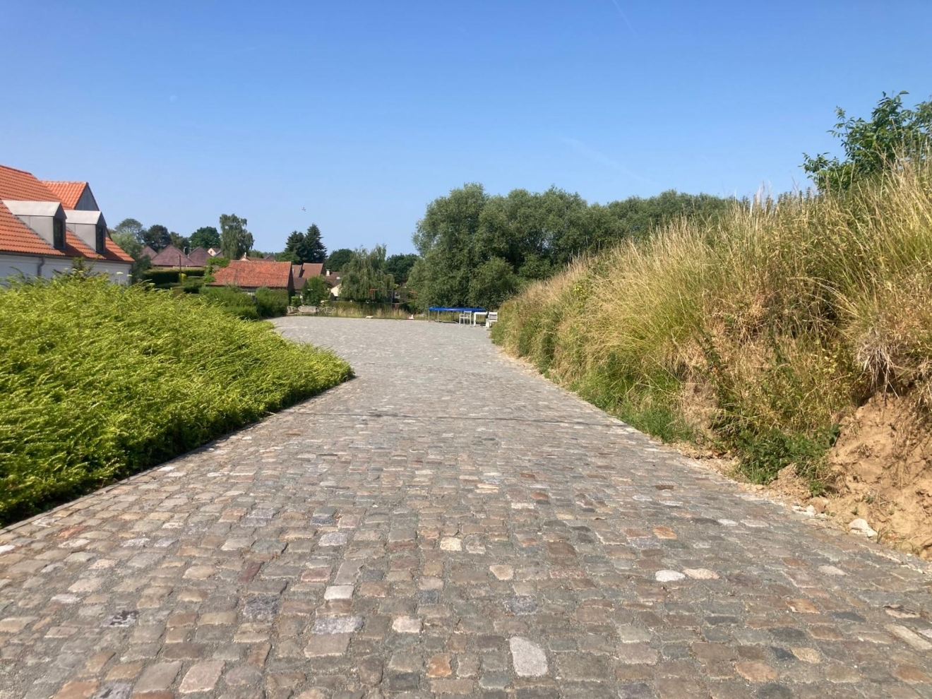 Boerenkassei/Hoevekassei in wildverband