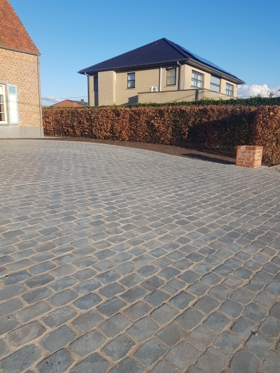 Gezaagde langwerpige porfier