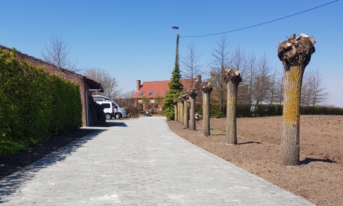 Privéwerk Rumst Porfier langwerping 